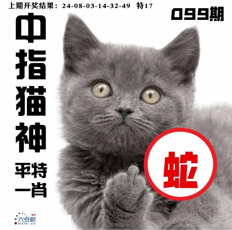 099期中指猫神[图]